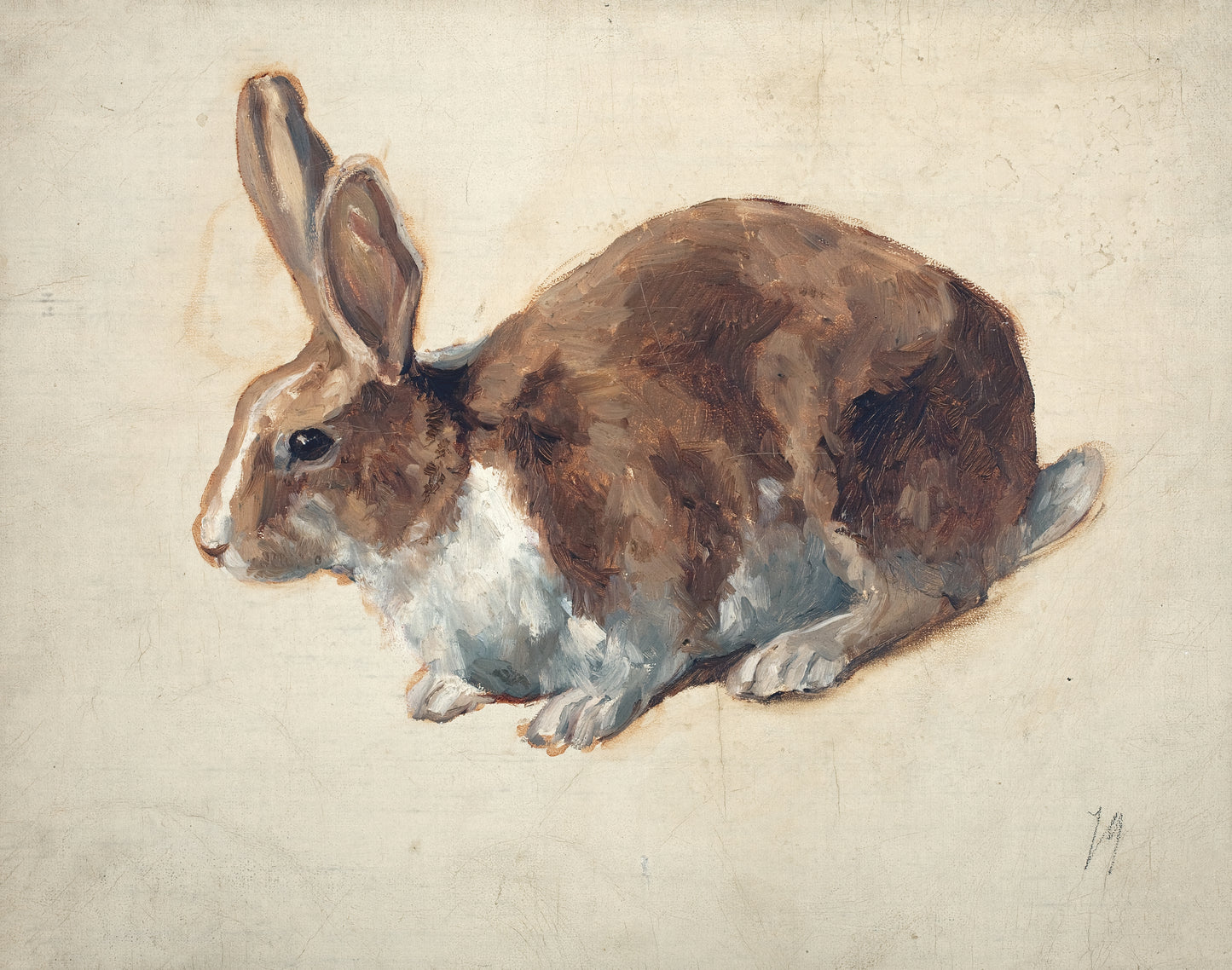 Rabbit (1879)